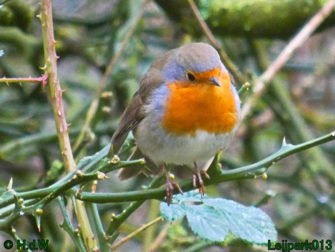 21 &amp; 22 &amp; 23 &amp; 24 januari 2025