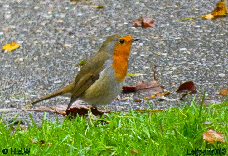 1 &amp; 2 &amp; 3 &amp; 4 oktober 2024