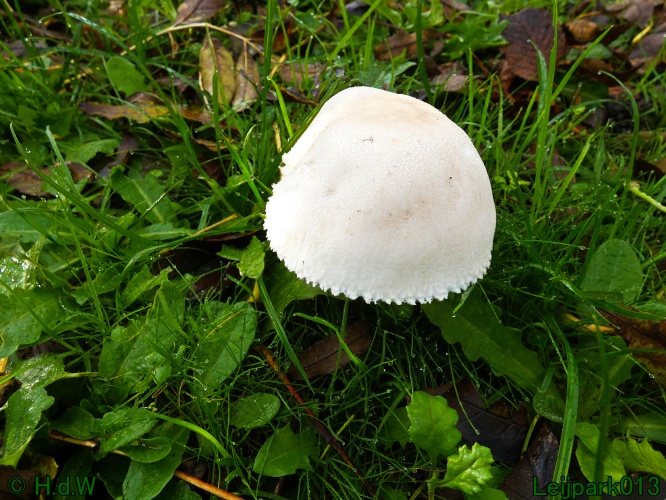 2 &amp; 3 &amp; 4 &amp; 5 November 2024