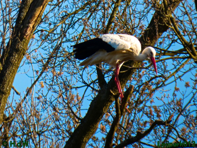 3 &amp; 4 &amp; 5 &amp; 6 april 2025