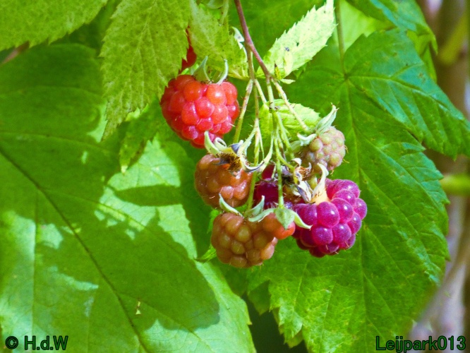 21 &amp; 22 &amp; 23 &amp; 24 oktober 2024