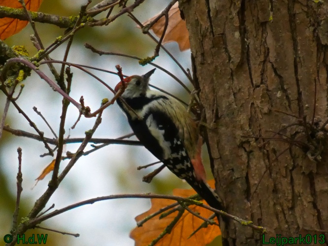 1 &amp; 2 &amp; 3 &amp; 4 oktober 2025