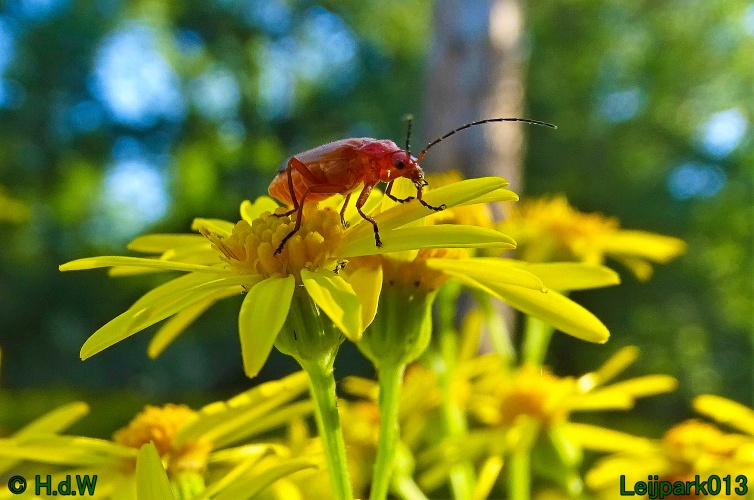 25 &amp; 26 &amp; 27 &amp; 28 juli 2024