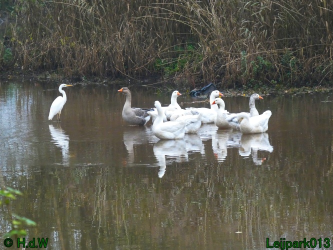 22 &amp; 23 &amp; 24 &amp; 25 november 2024