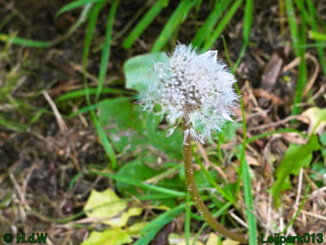 16 &amp; 17 &amp; 18 &amp; 19 december 2024