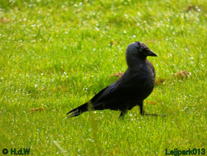 10 &amp; 11 &amp; 12 &amp; 13 augustus 2024