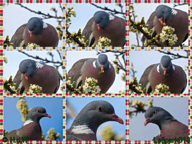 3 &amp; 4 &amp; 5 &amp; 6 april 2025