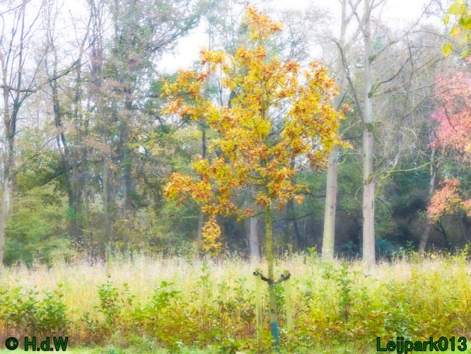 10 &amp; 11 &amp; 12 &amp; 13 november 2024