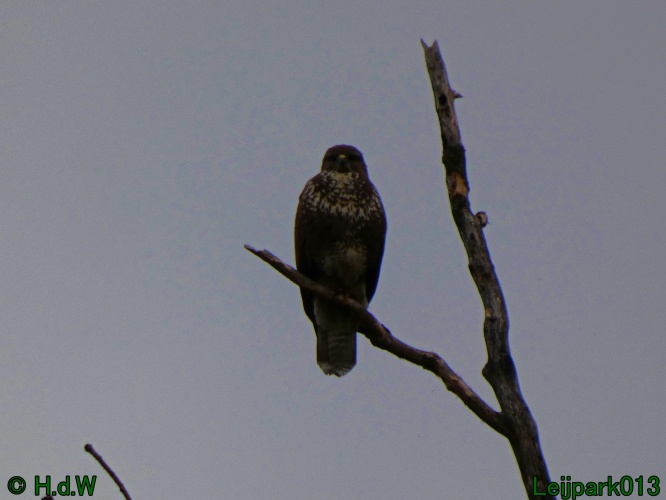 28 &amp; 29 &amp; 30 &amp; 31 oktober 2025