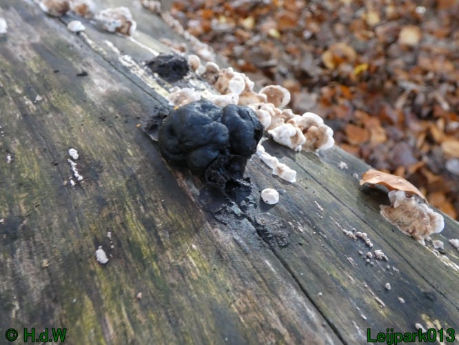 22 &amp; 23 &amp; 24 &amp; 25 november 2024