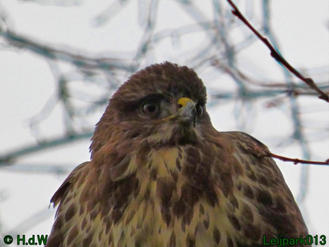 1 &amp; 2 &amp; 3 &amp; 4 januari 2025