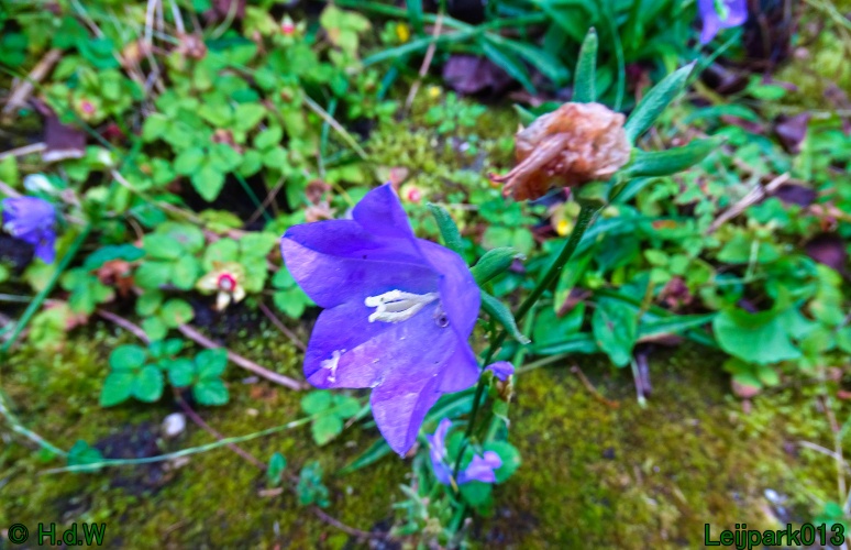 5 &amp; 6 &amp; 7 &amp; 8 juli 2024