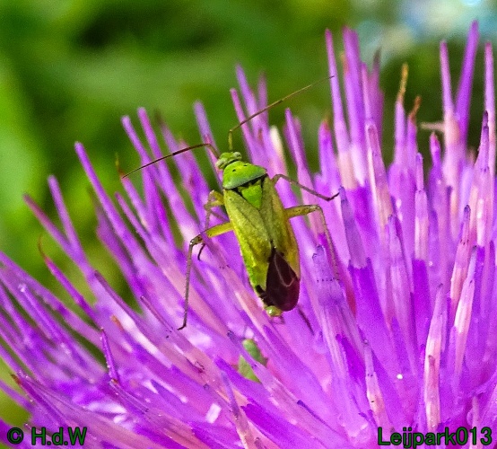 27 &amp; 28 &amp; 29 &amp; 30 juni 2024