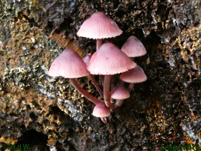 2 &amp; 3 &amp; 4 &amp; 5 November 2024