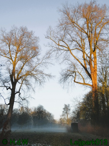 13 januari Mist en zon
