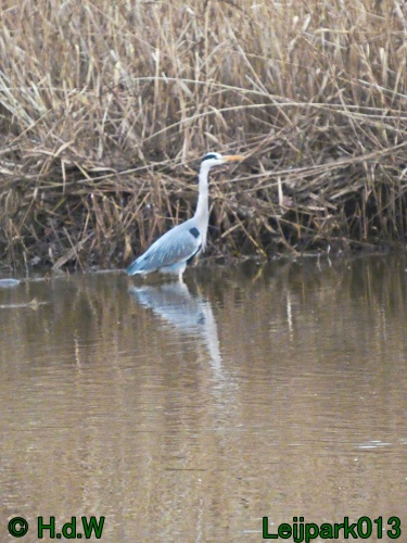 20 &amp; 21 &amp; 22 &amp; 23 december 2024