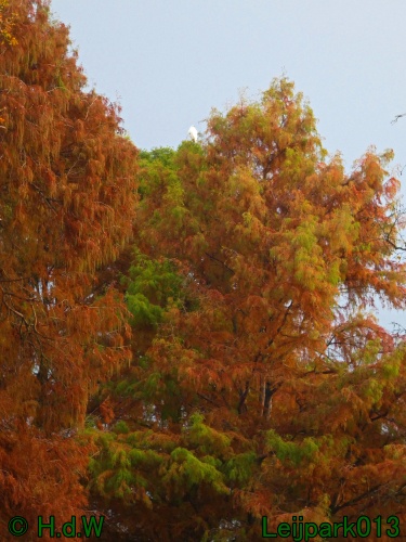 30 november &amp; 1 &amp; 2 &amp; 3 december 2024