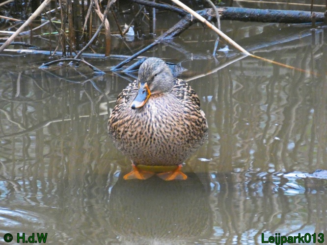 21 &amp; 22 &amp; 23 &amp; 24 januari 2025