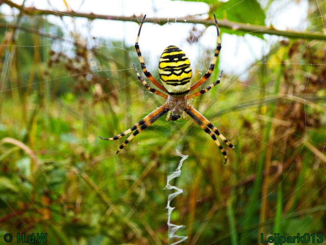 10 &amp; 11 &amp; 12 &amp; 13 augustus 2024