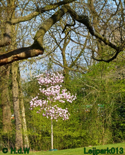 3 &amp; 4 &amp; 5 &amp; 6 april 2025