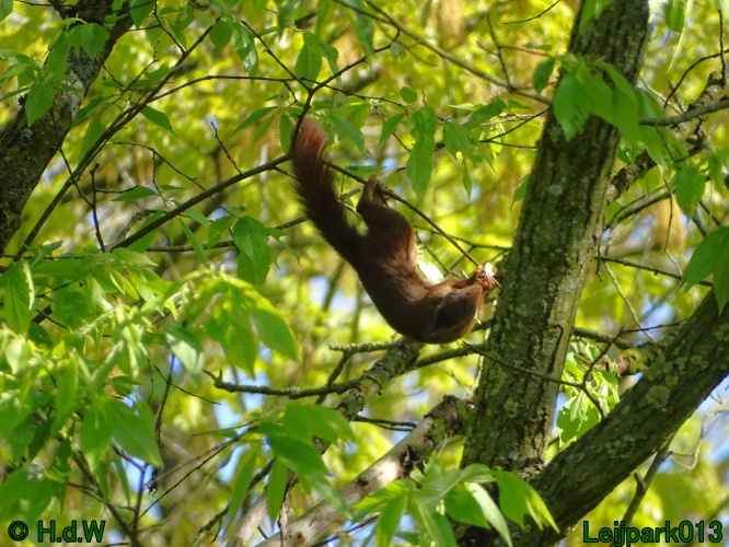 30 april 1 &amp; 2 &amp; 3 mei 2024