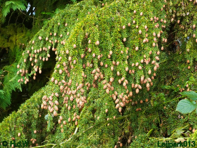 1 &amp; 2 &amp; 3 &amp; 4 oktober 2024