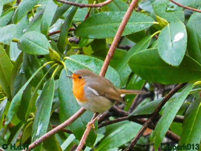 16 &amp; 17 &amp; 18 &amp; 19 december 2024