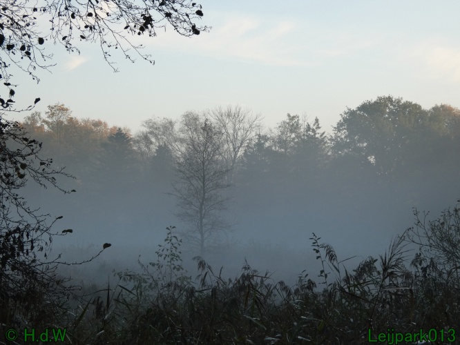 3 november 2024 Vanmorgenwas er mist in het Leijpark