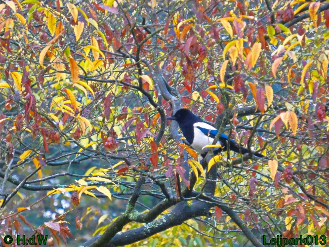 10 &amp; 11 &amp; 12 &amp; 13 november 2024