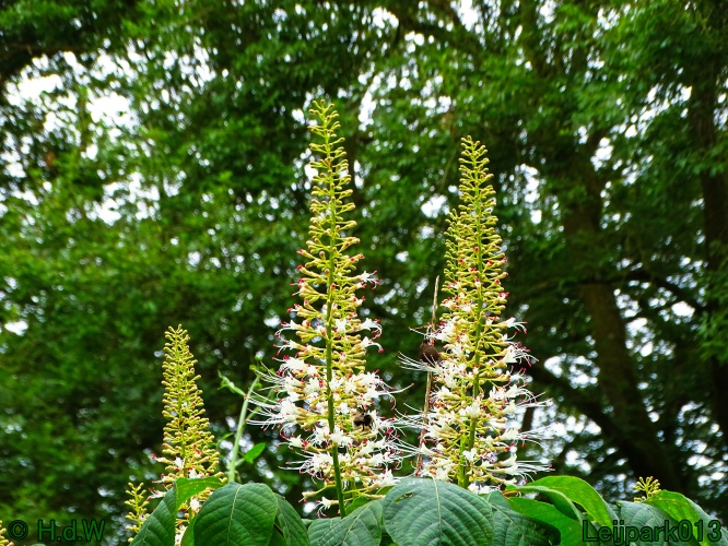 9 &amp; 10 &amp; 11 &amp; 12 juli 2024