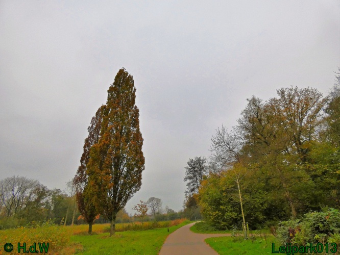 10 &amp; 11 &amp; 12 &amp; 13 november 2024