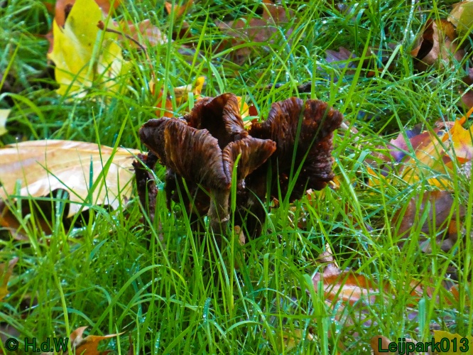 28 &amp; 29 &amp; 30 &amp; 31 oktober 2025