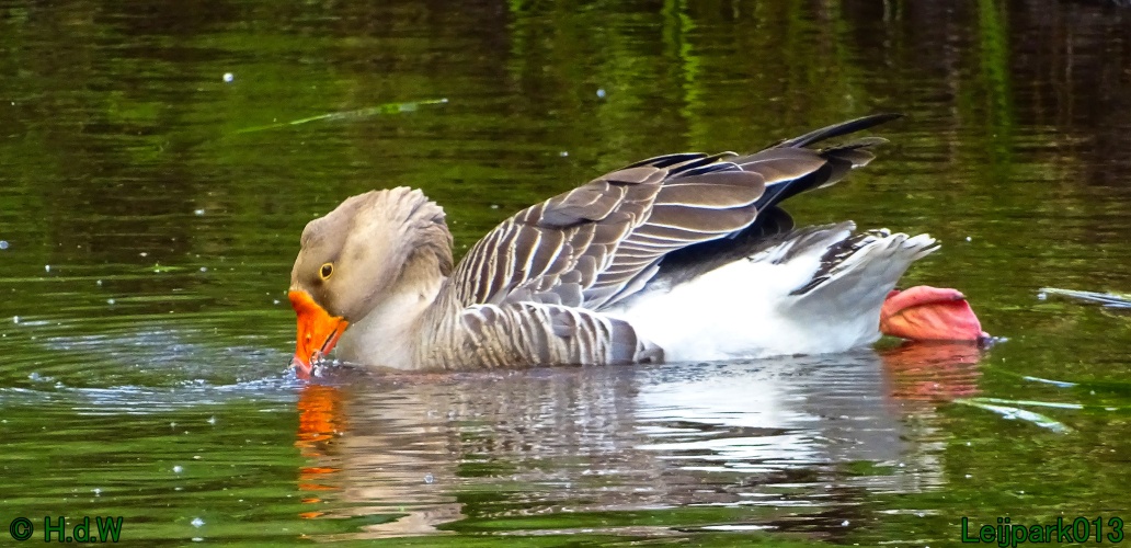 11 &amp; 12 &amp; 13 &amp; 14 juni 2024