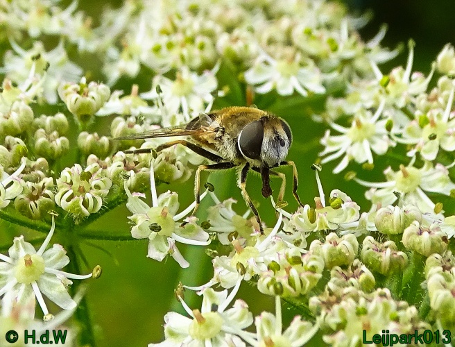 9 &amp; 10 &amp; 11 &amp; 12 juli 2024