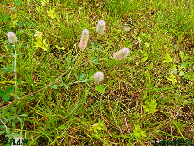 10 &amp; 11 &amp; 12 &amp; 13 augustus 2024