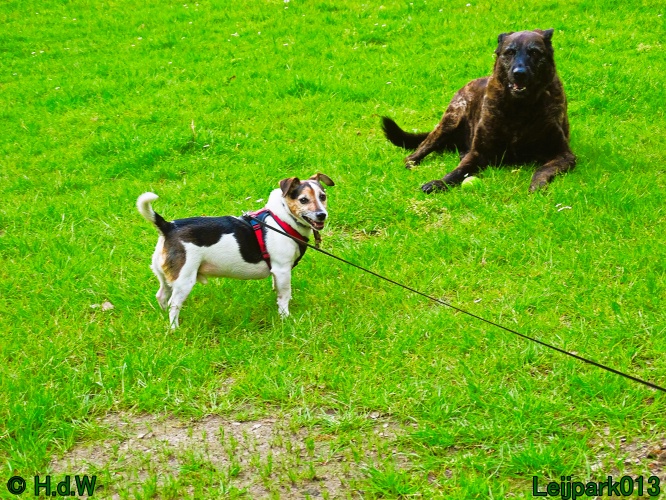 Beestenboel 12 mei 2024