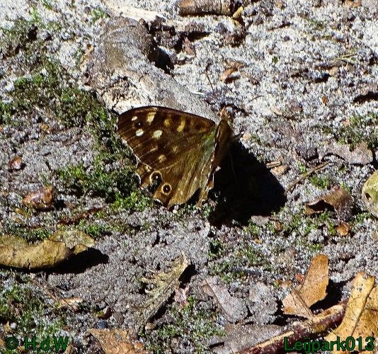 29 &amp; 30 &amp; 31 juli &amp; 1 augustus 2024