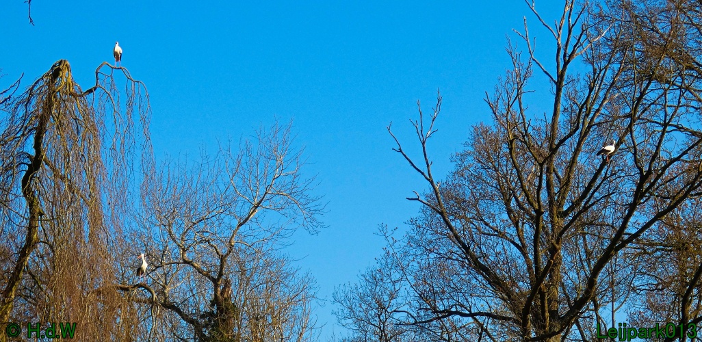 3 &amp; 4 &amp; 5 &amp; 6 april 2025