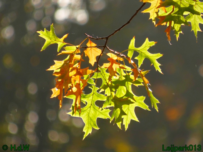 1 &amp; 2 &amp; 3 &amp; 4 oktober 2025