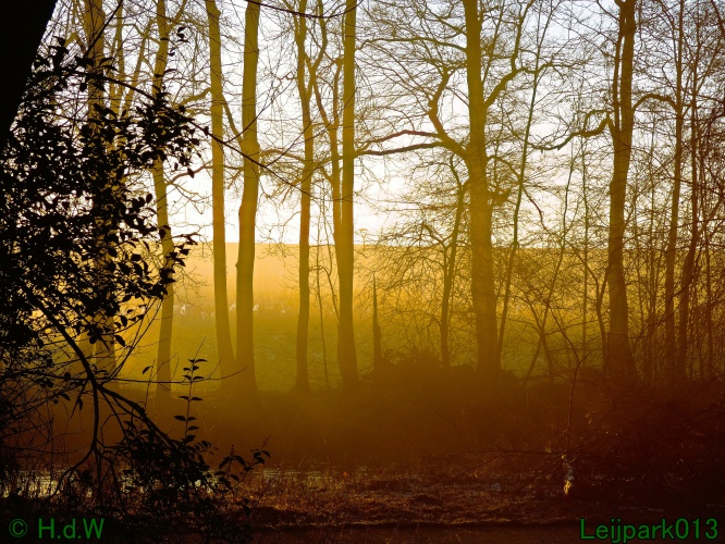 13 januari Mist en zon