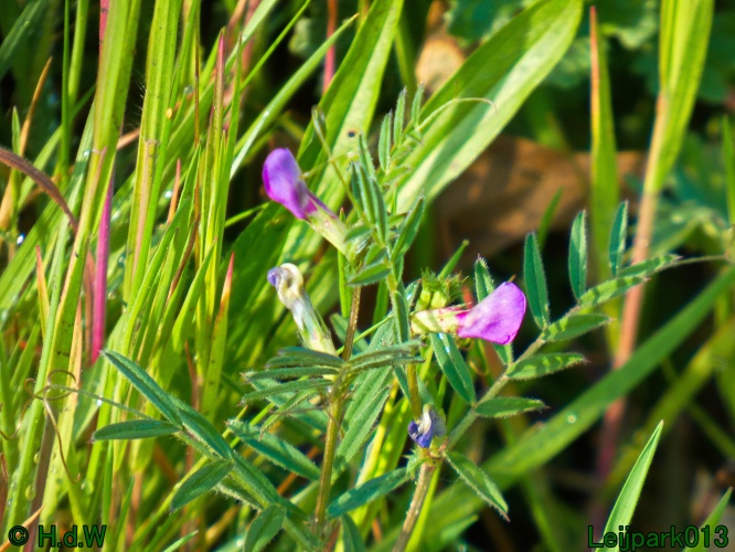 19 &amp; 20 &amp; 21 &amp; 22 maart 2025