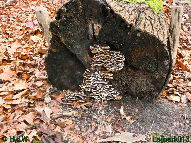 20 &amp; 21 &amp; 22 &amp; 23 december 2024