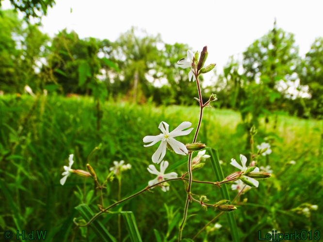 9 &amp; 10 &amp; 11 &amp; 12 juli 2024