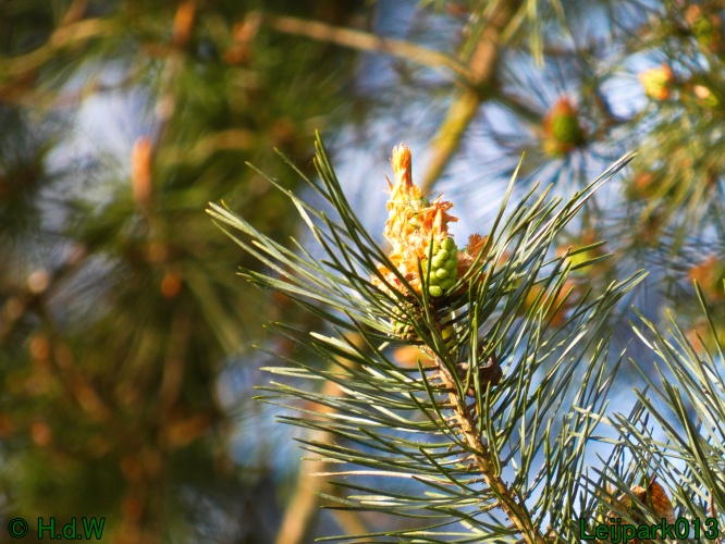 19 &amp; 20 &amp; 21 &amp; 22 maart 2025