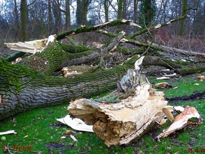 Storm terug in de tijd