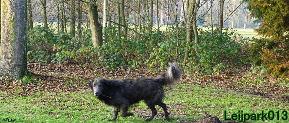 Leijpark013