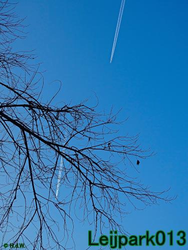 Leijpark013