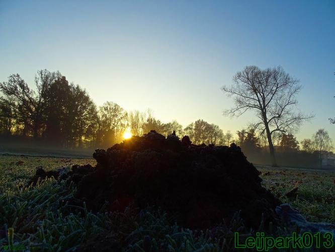 Leijpark013