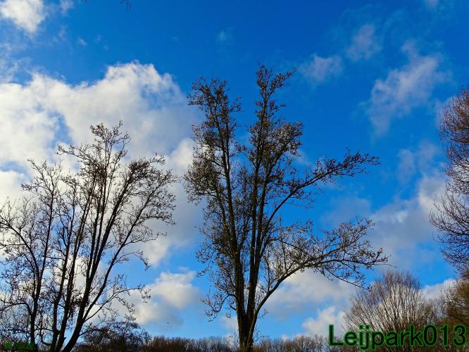 Leijpark