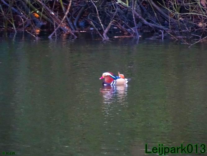 Leijpark013